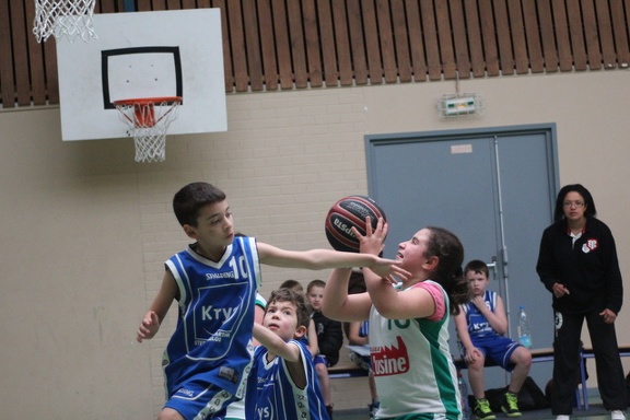 2013_0223_144233AA