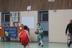 2013_0223_162037AA