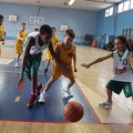 20200416163843-277ebfd7.jpg